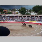 041 Bullfight 1.jpg